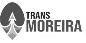 trans-moreira-contabilidade-lucyszyn